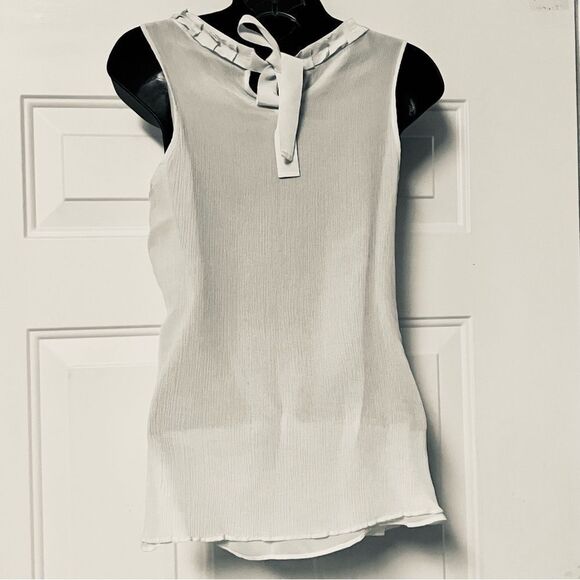 Banana Republic Ivory Sheer 100% Silk Stretch Crepe Ribbon Sleeveless Top S - Picture 9 of 13